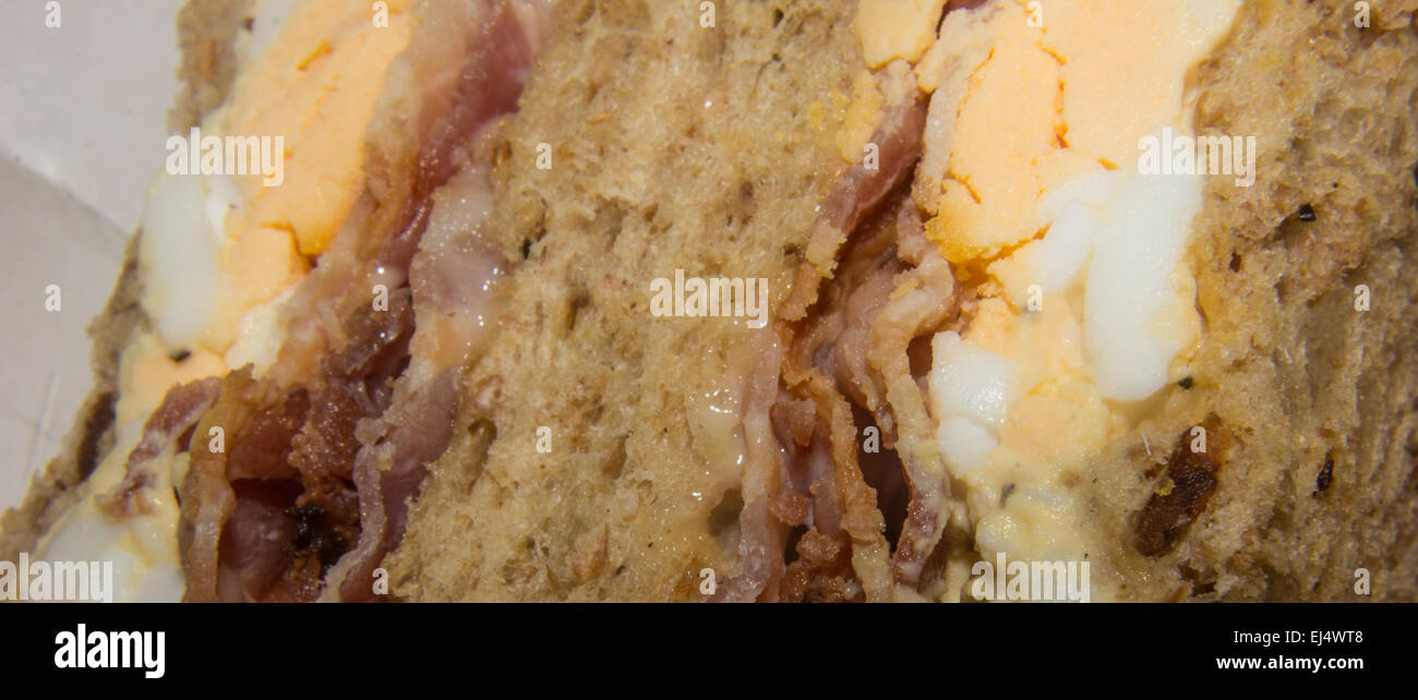 Egg and bacon in brown wholemeal bread sandwich. Stock Photo
