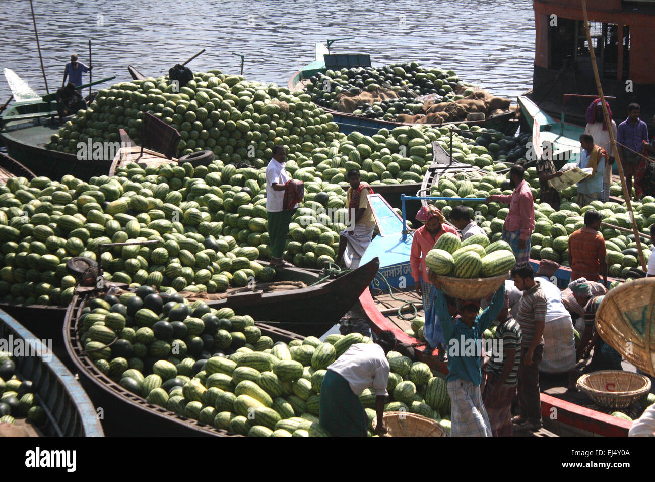 Workers unload watermelons from the boats at Sadarghat for selling in Dhaka, Bangladesh. March 21, 2015 Bumper production of watermelon in Bangladesh this season. Experts have said that the good quality watermelons were a bumper harvest this year owing to favoring weather and improved farming in Bangladesh. Stock Photo