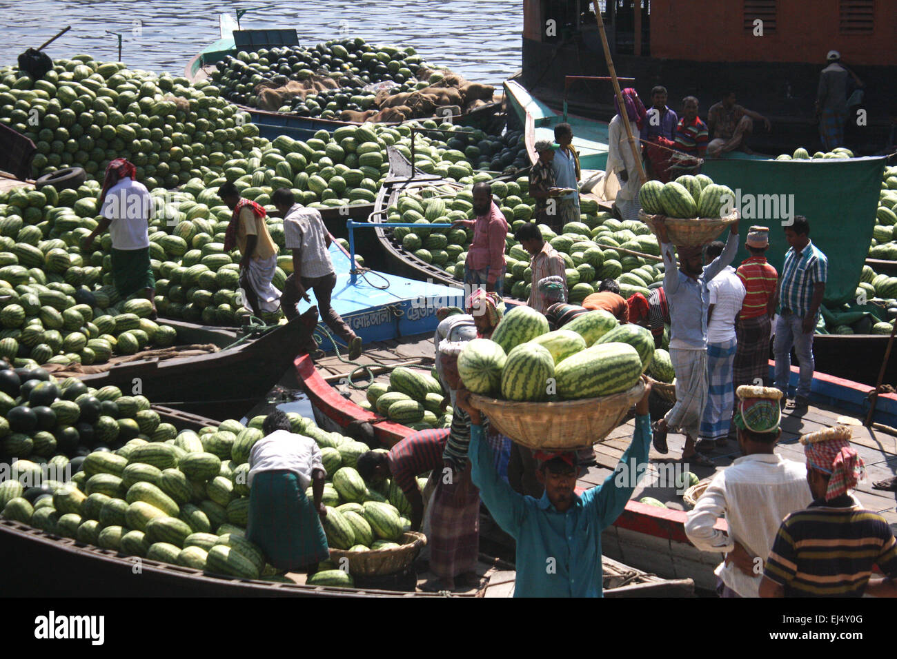 Workers unload watermelons from the boats at Sadarghat for selling in Dhaka, Bangladesh. March 21, 2015 Bumper production of watermelon in Bangladesh this season. Experts have said that the good quality watermelons were a bumper harvest this year owing to favoring weather and improved farming in Bangladesh. Stock Photo