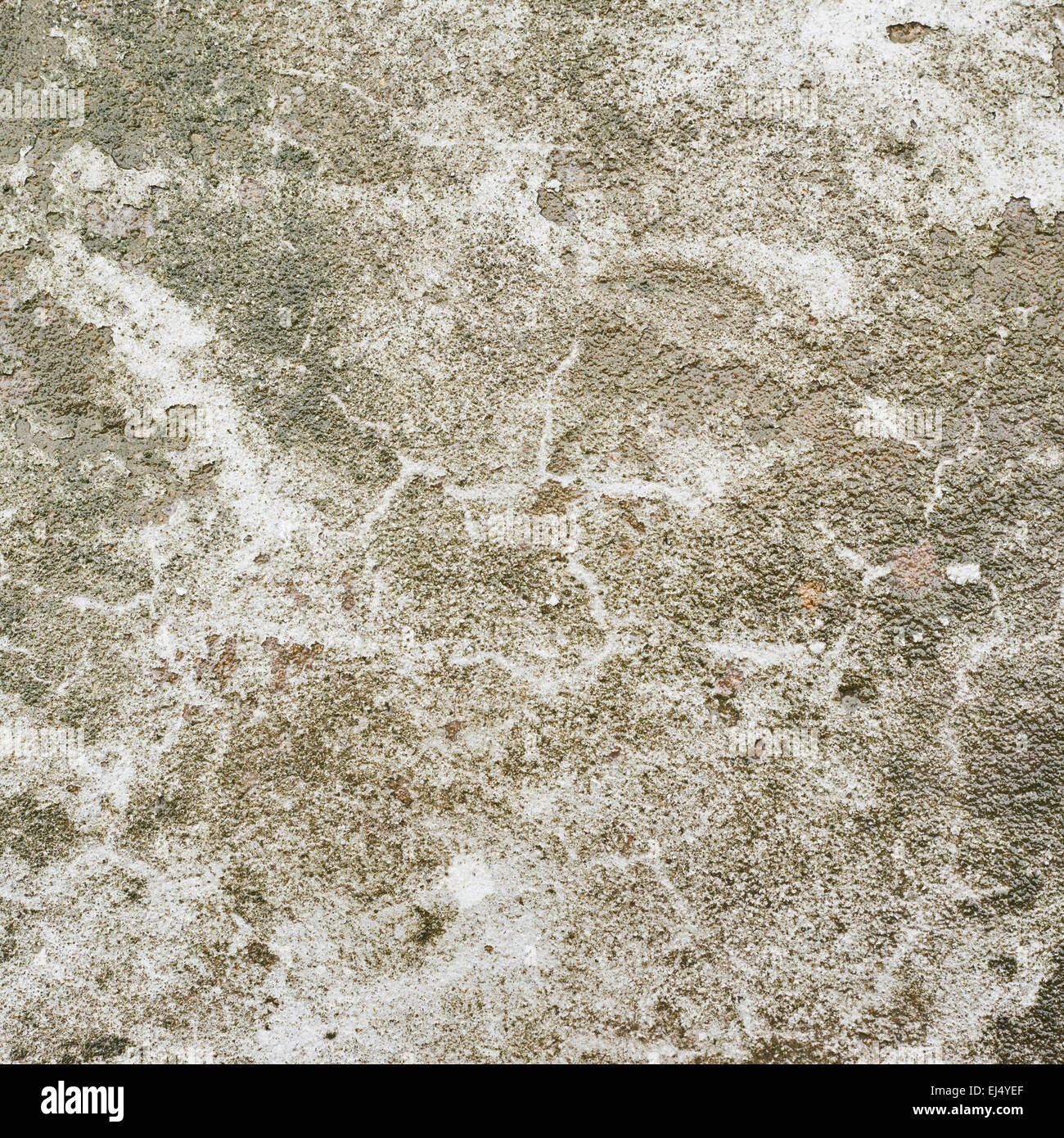Empty white concrete aged wall hi-res stock photography and images - Alamy