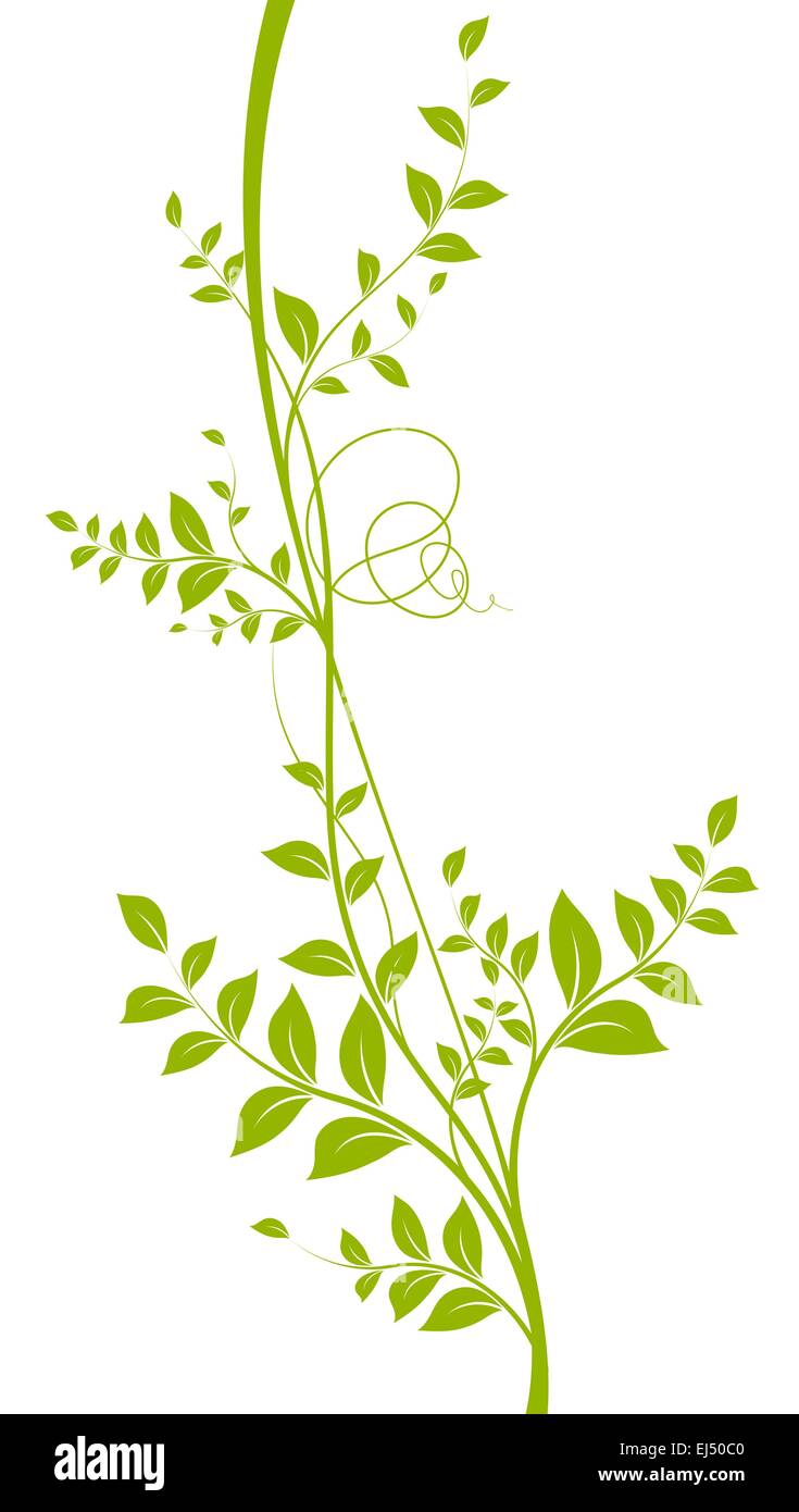 Green Vector Liana Over White - Plant Silhouette Stock Vector
