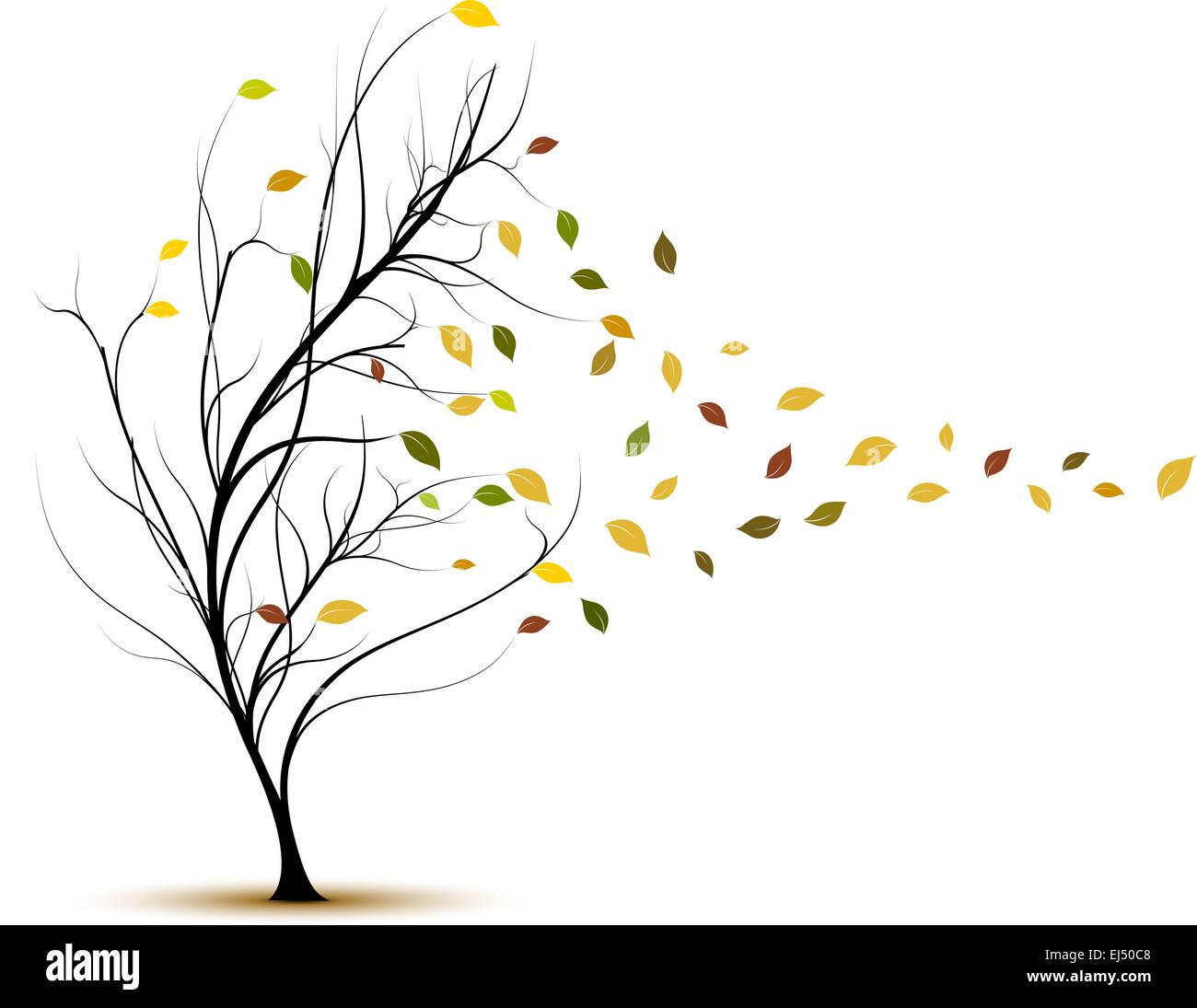 Autumn Leaves. Fall Tree with Wind Blows. Stock Vector