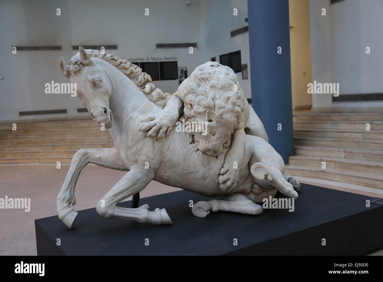 Lion attacking a horse. Greek marble. Hellenistic period. Capitoline Museums. Rome. Italy. Stock Photo