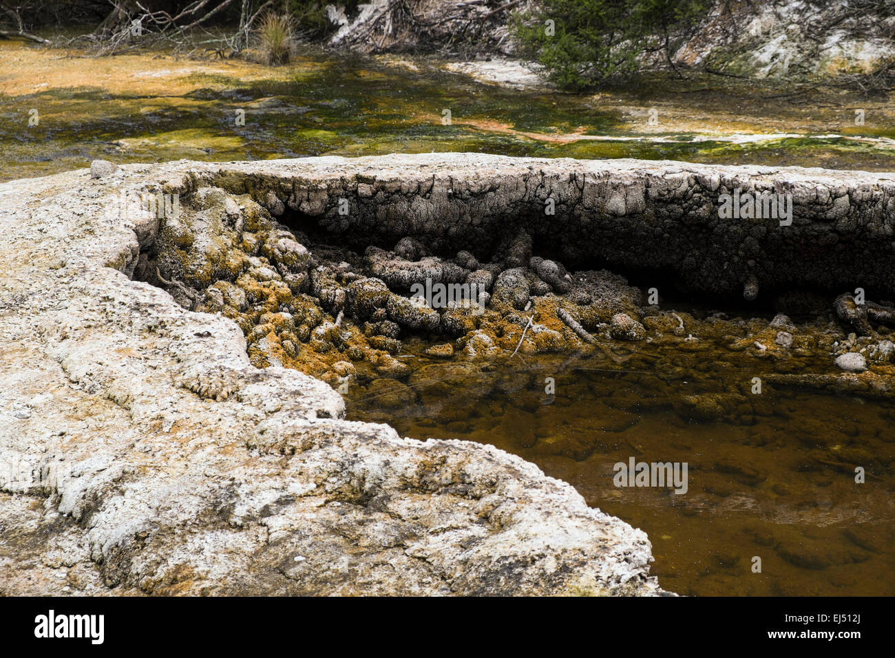 Waimangu geothermal area in New Zealand Stock Photo - Alamy