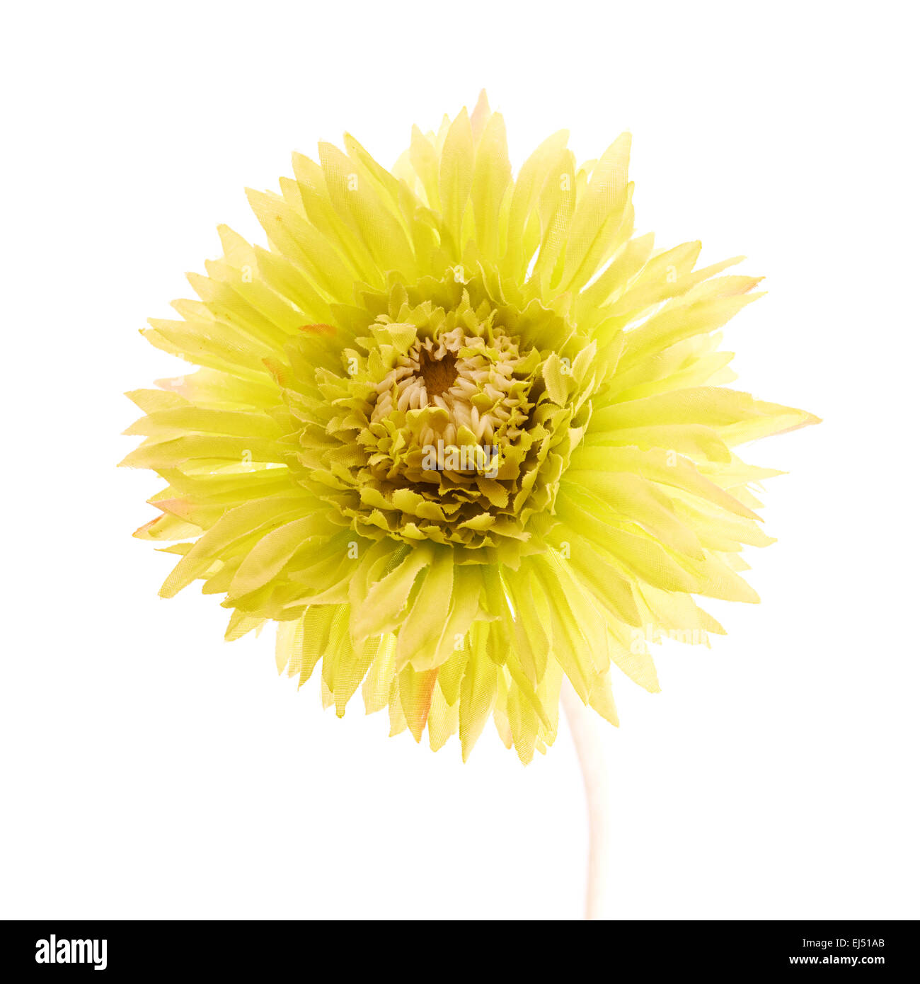Artificial yellow flower isolated Stock Photo Alamy