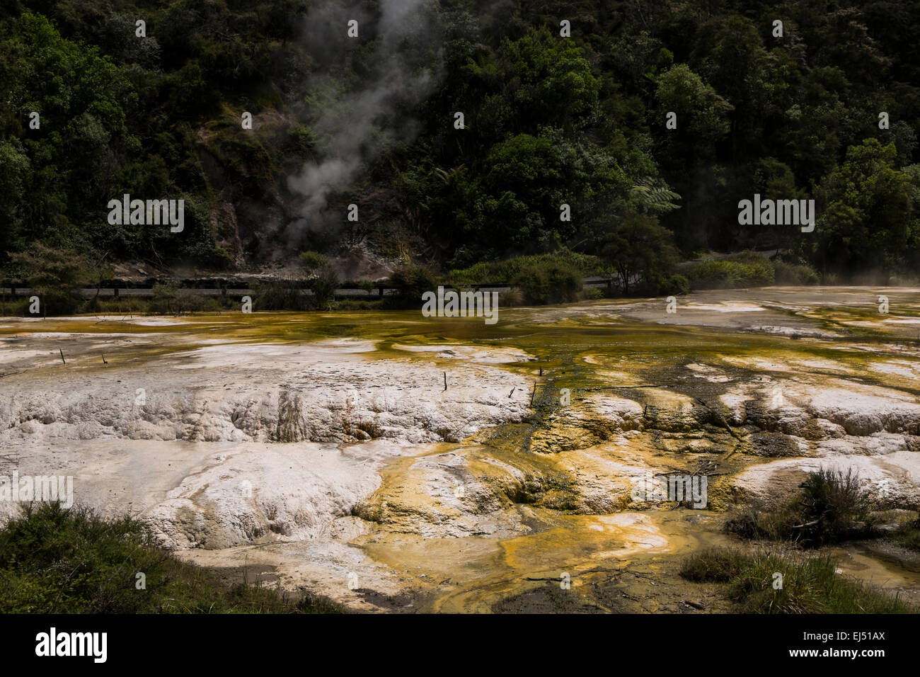 Waimangu geothermal area in New Zealand Stock Photo - Alamy