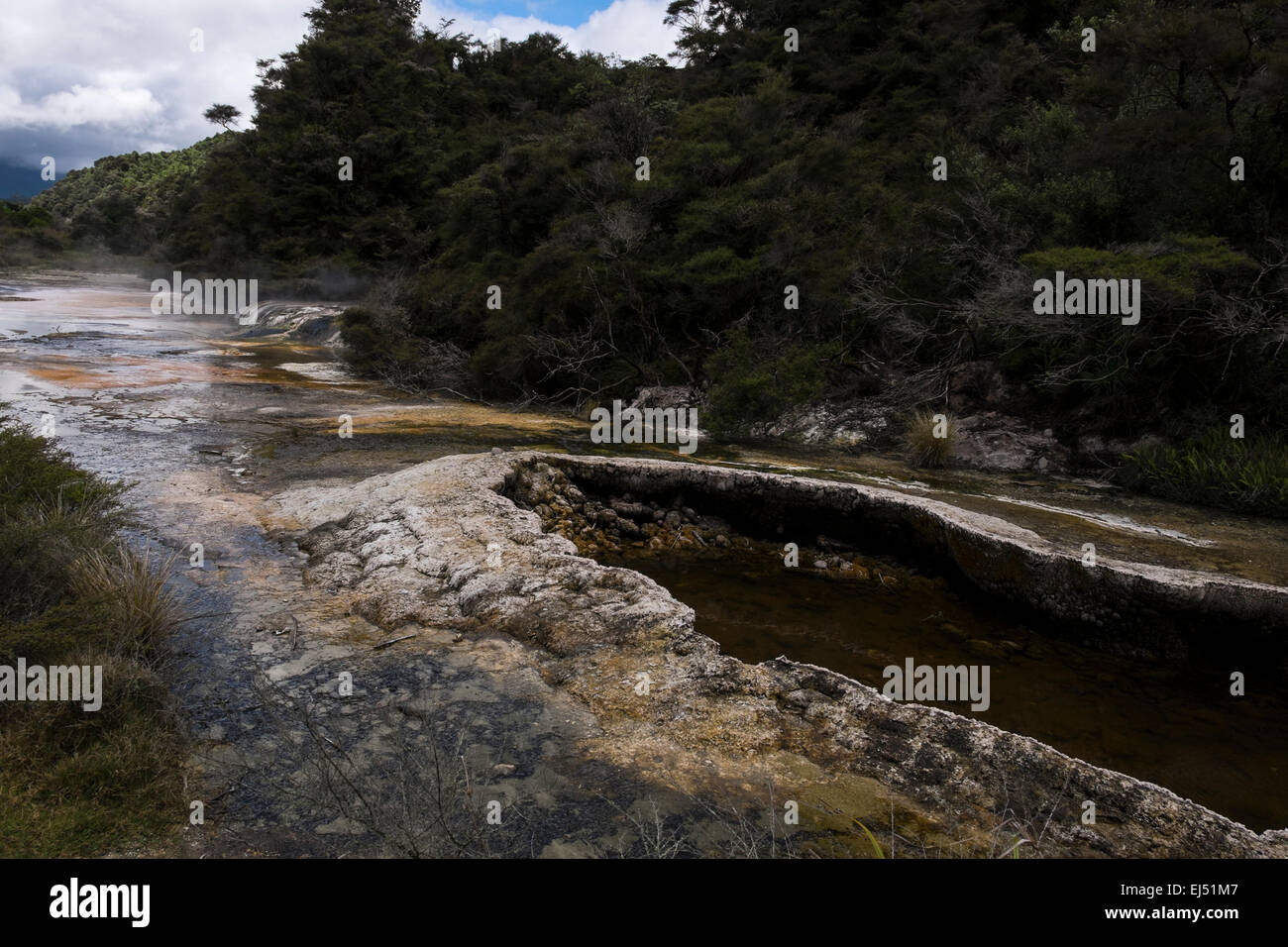 Waimangu geothermal area in New Zealand Stock Photo - Alamy
