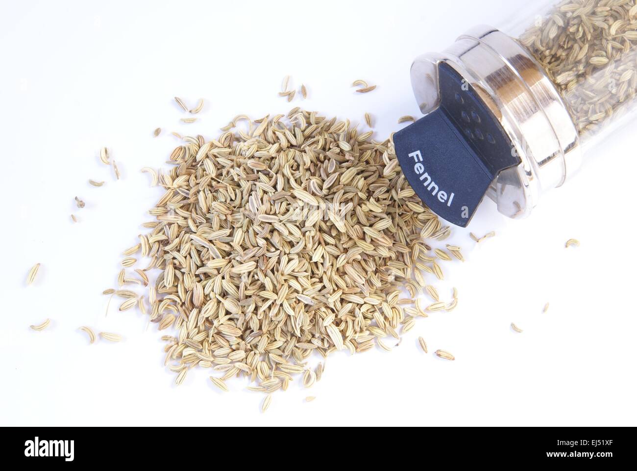 Dried fennel seed for cooking is photographed on a plain white background. A tipped over glass