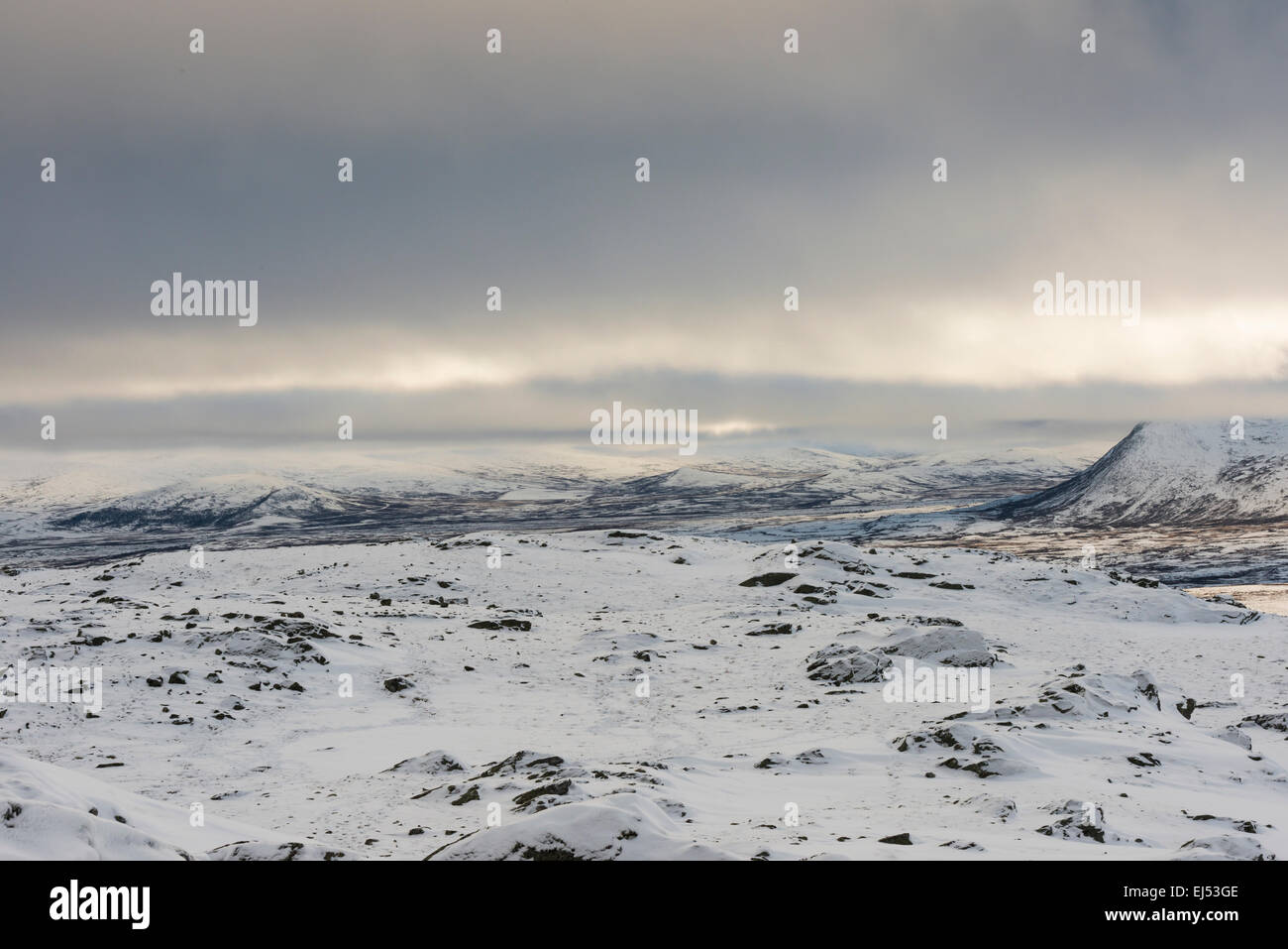 View on landscape in National Park Dovrefjell in Norway. Stock Photo