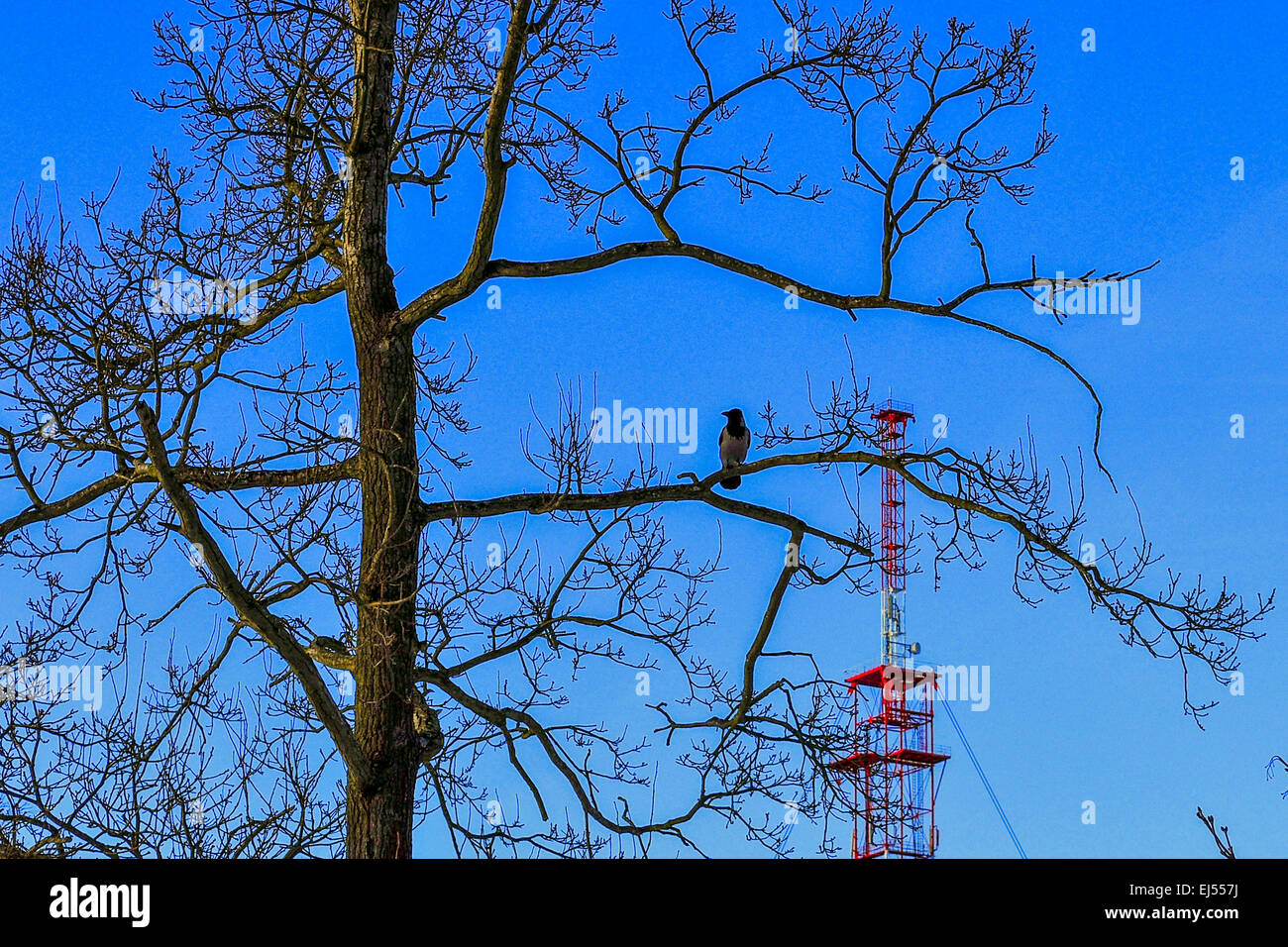 Transponder Stock Photo
