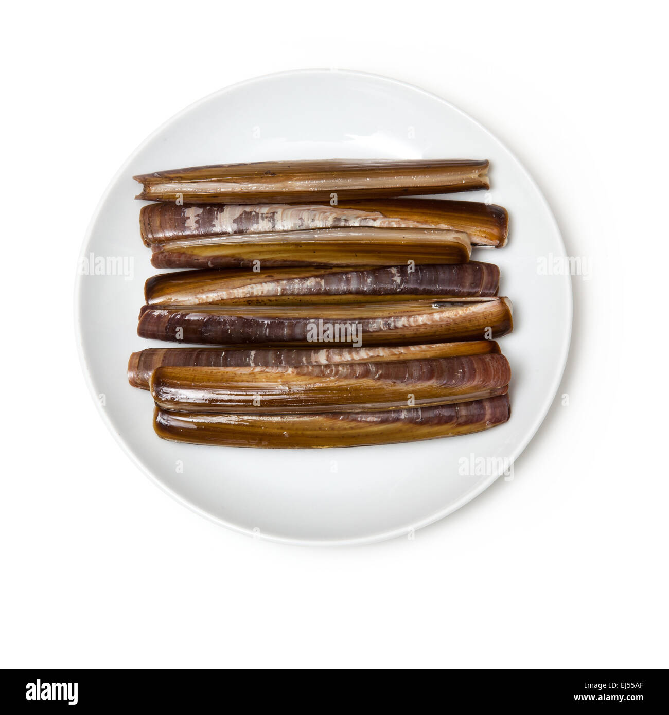 Raw Razor Clams isolated on a white studio background Stock Photo Alamy