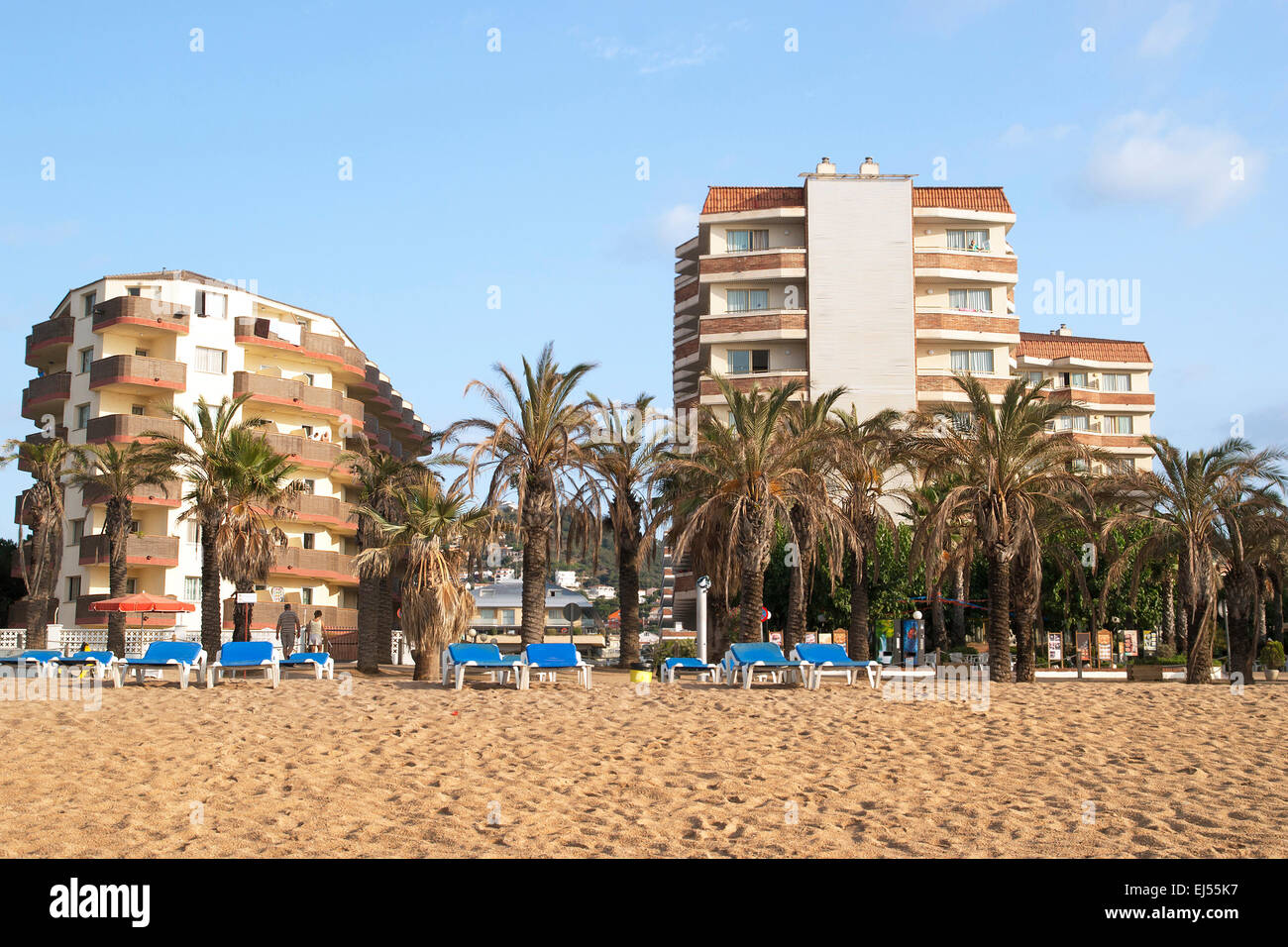 santa-susanna-spain-august-02-2009-mediterranean-beach-with-palm