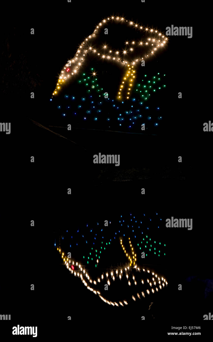 A bird display in Zoolights at the Point Defiance Zoo in