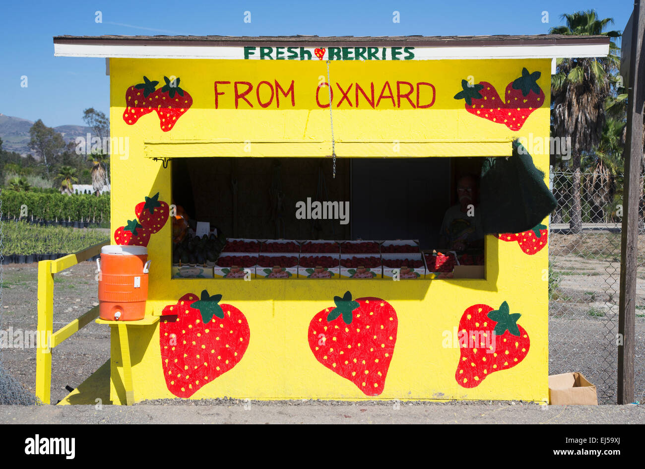 Fresh fruit yellow roadside stand, Route 126, Santa Paula, California, USA Stock Photo