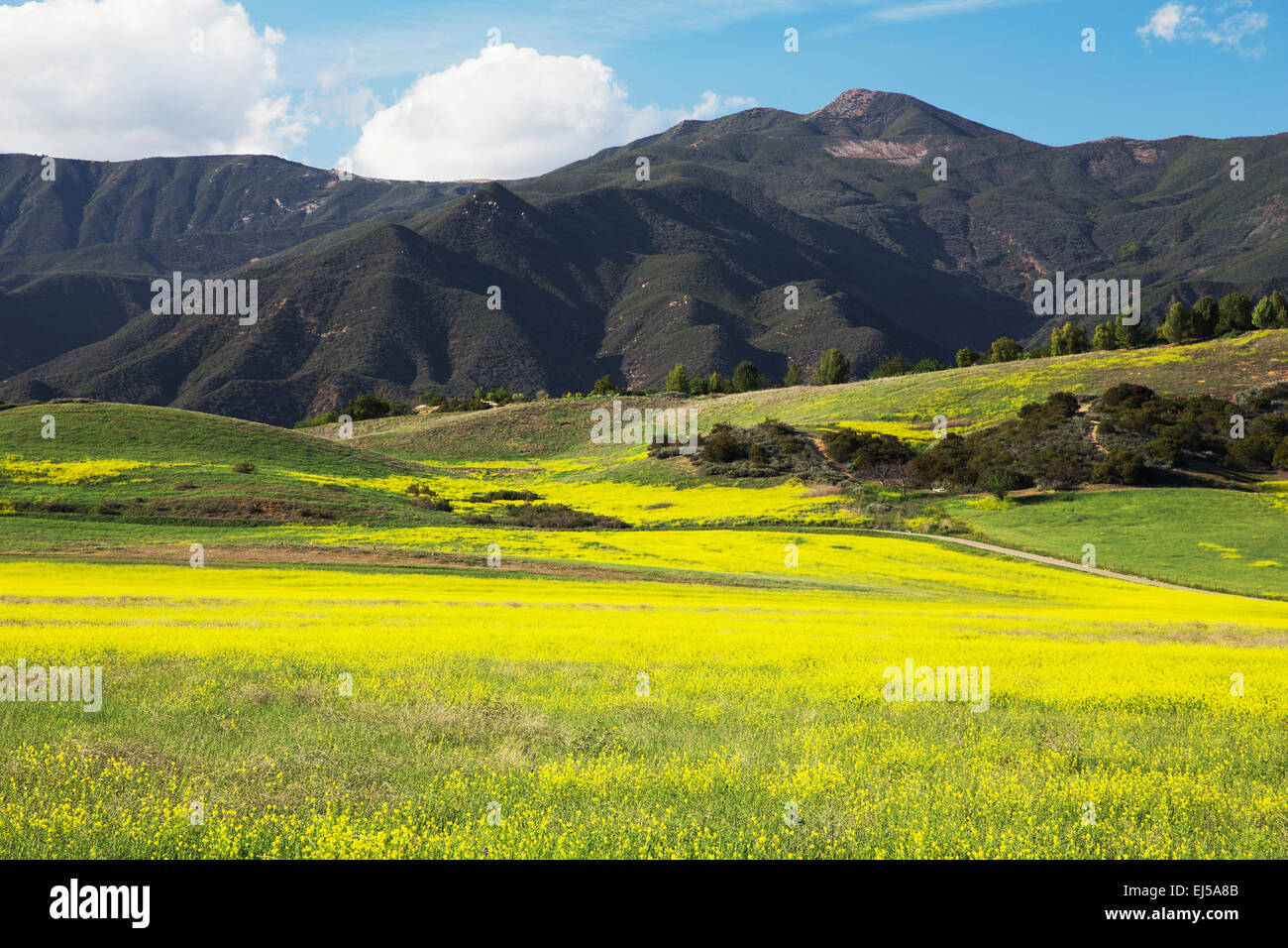 Upper ojai hires stock photography and images Alamy