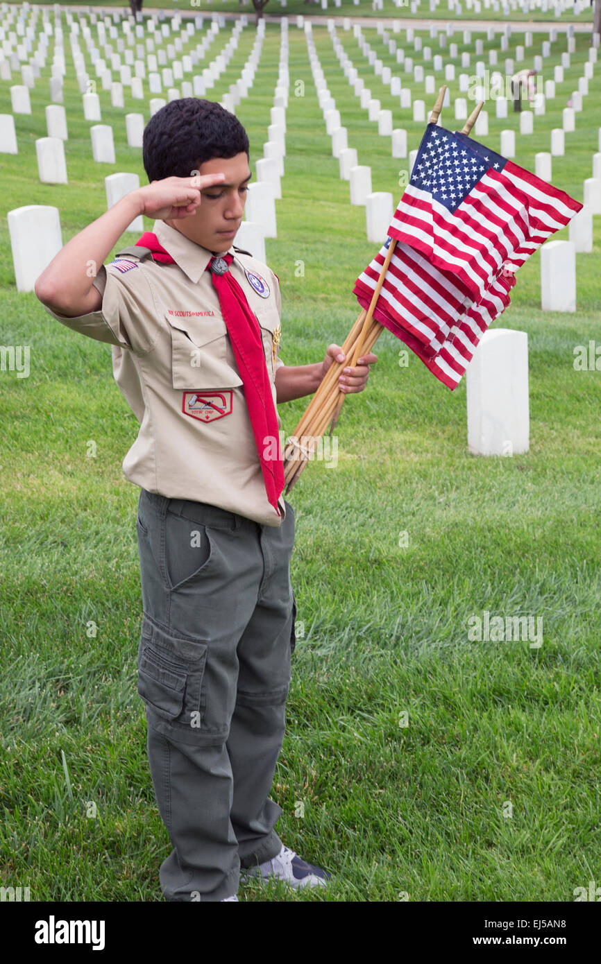 Boyscout salutes at one of 85, 000 US Flags at 2014 Memorial Day Event, Los Angeles National Cemetery, California, USA Stock Photo