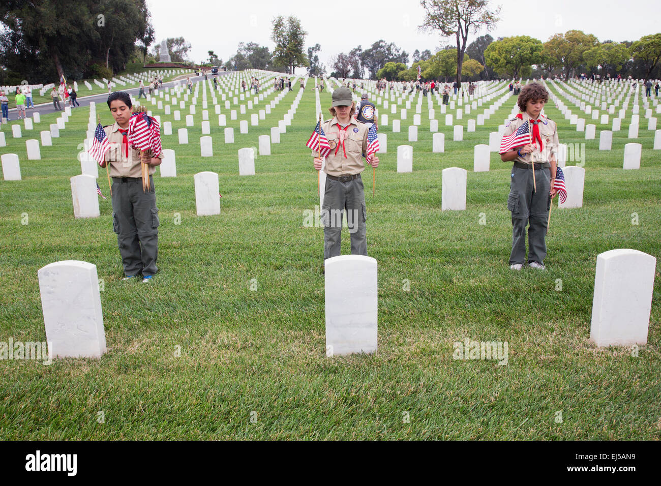 Boyscouts place one of 85, 000 US Flags at 2014 Memorial Day Event, Los Angeles National Cemetery, California, USA Stock Photo