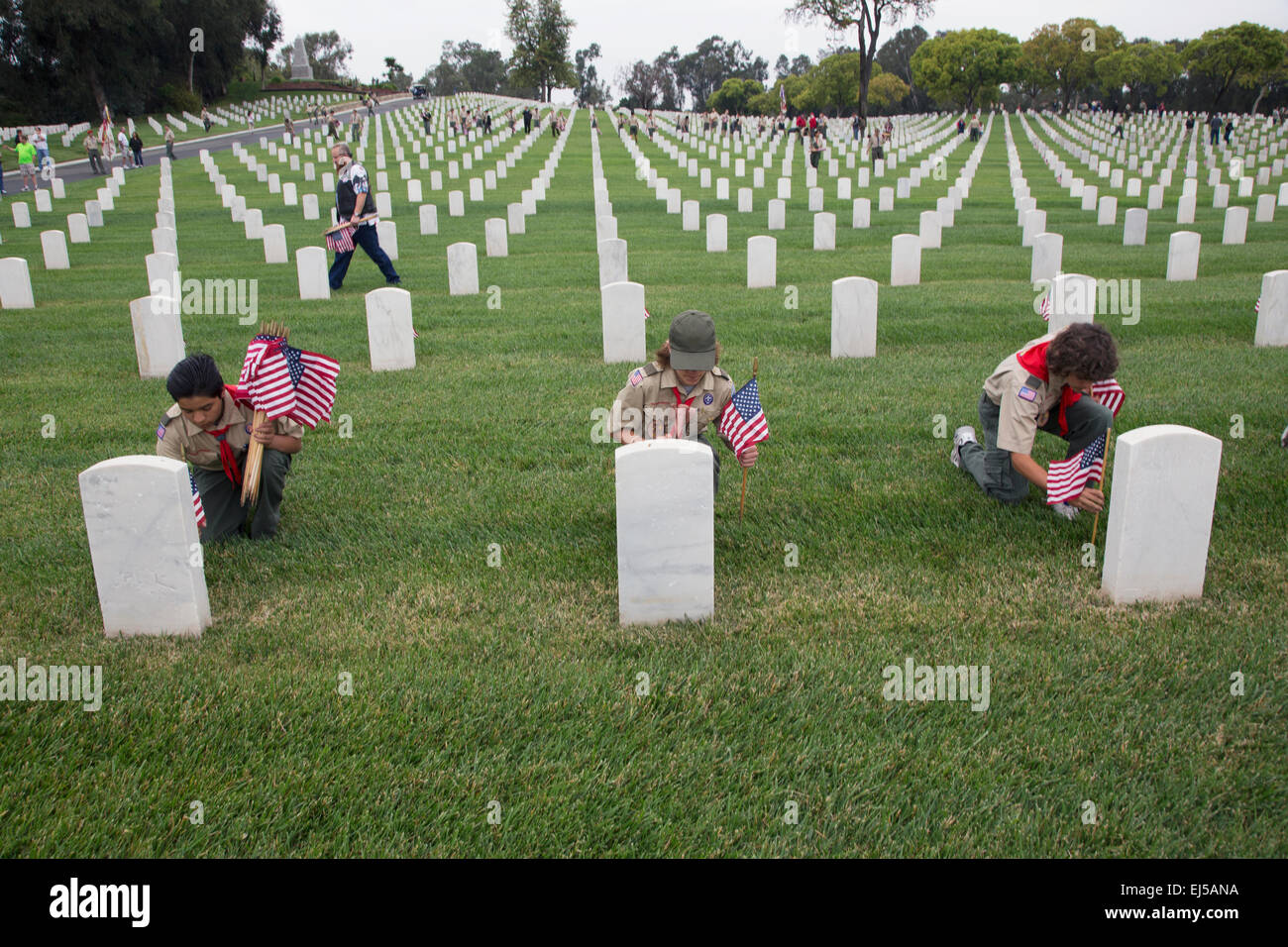 Boyscouts placing one of 85, 000 US Flags at 2014 Memorial Day Event, Los Angeles National Cemetery, California, USA Stock Photo