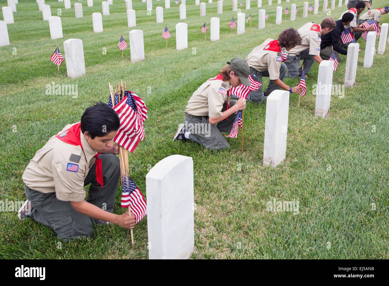 Boyscouts placing one of 85, 000 US Flags at 2014 Memorial Day Event, Los Angeles National Cemetery, California, USA Stock Photo
