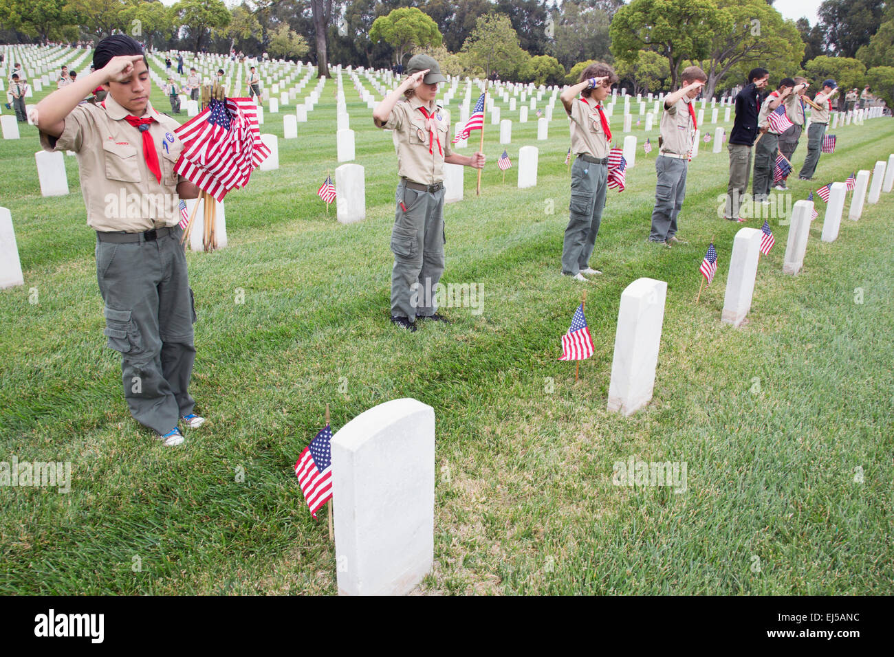 Boyscouts saluting at one of 85, 000 US Flags at 2014 Memorial Day Event, Los Angeles National Cemetery, California, USA Stock Photo