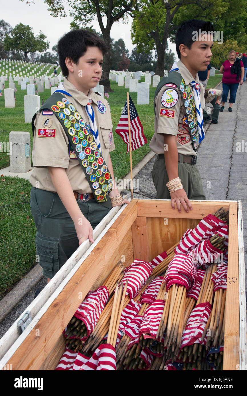 Boyscouts placing 85, 000 US Flags at Annual Memorial Day Event, Los Angeles National Cemetery, California, USA Stock Photo