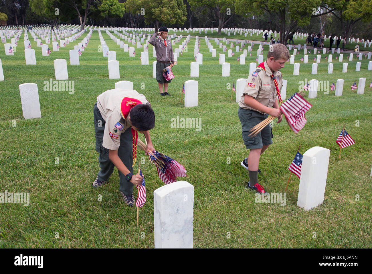 Boyscouts placing 85, 000 US Flags at Annual Memorial Day Event, Los Angeles National Cemetery, California, USA Stock Photo