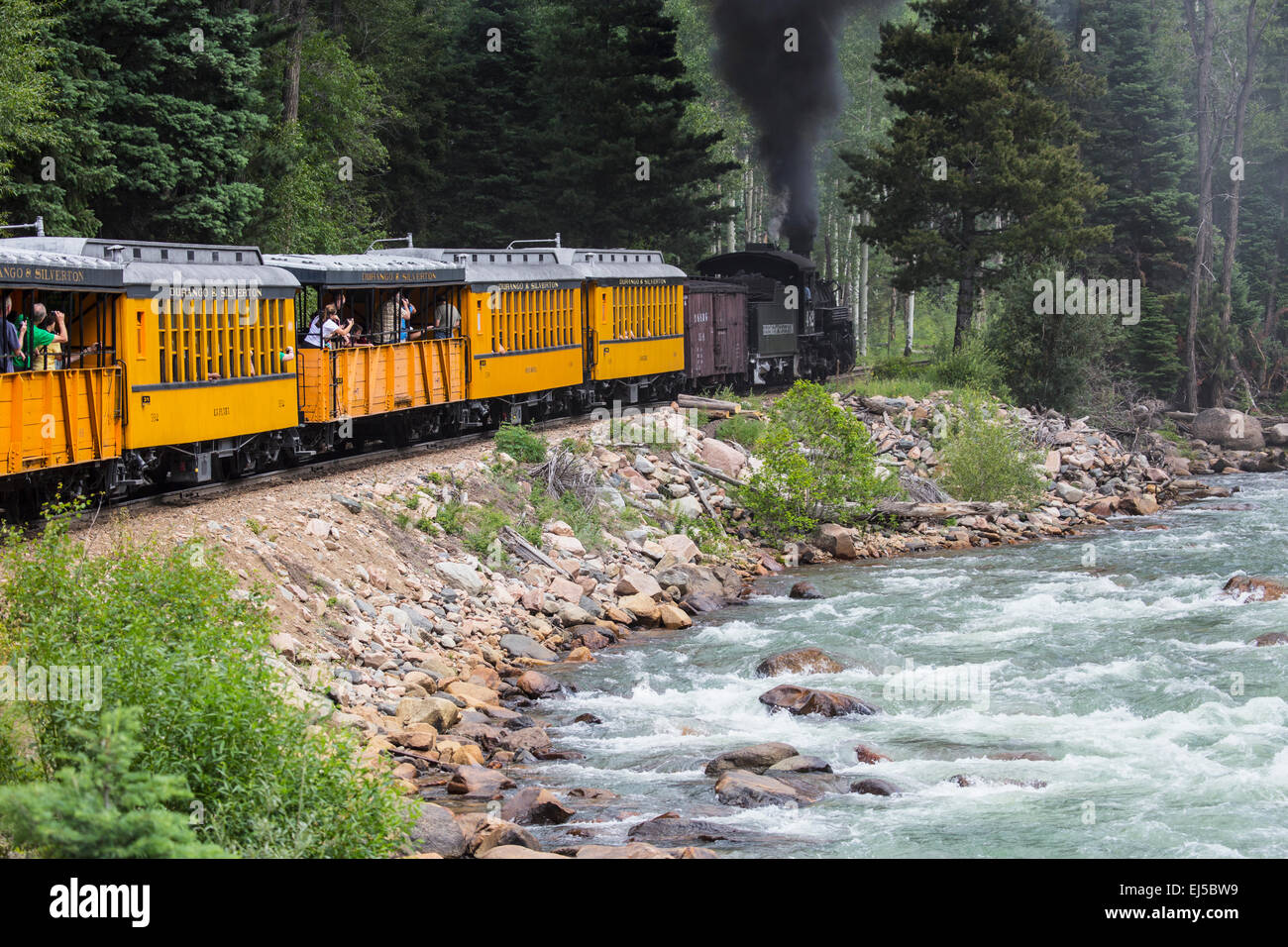 The Durango and Silverton Narrow Gauge Railroad Steam Engine travels along Animas River, Colorado, USA Stock Photo