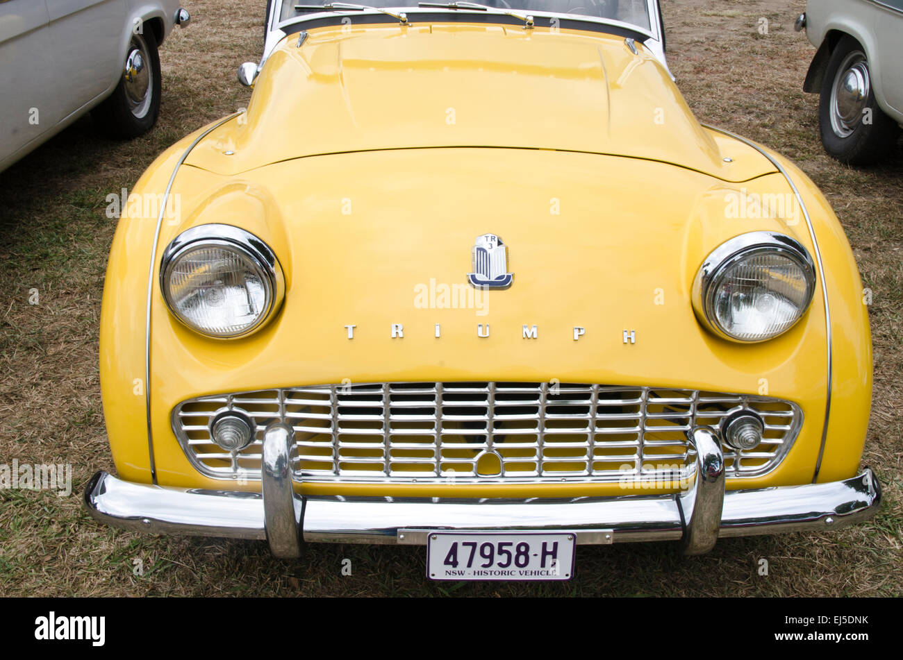 A TR3A on display at a rural show in Bendemeer Australia March 2015 Stock Photo