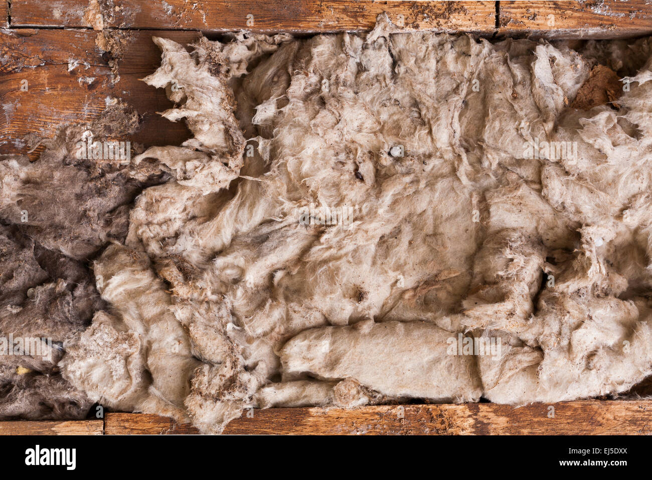 A close look at insulation in an old house stuffed between wooden beams. Stock Photo