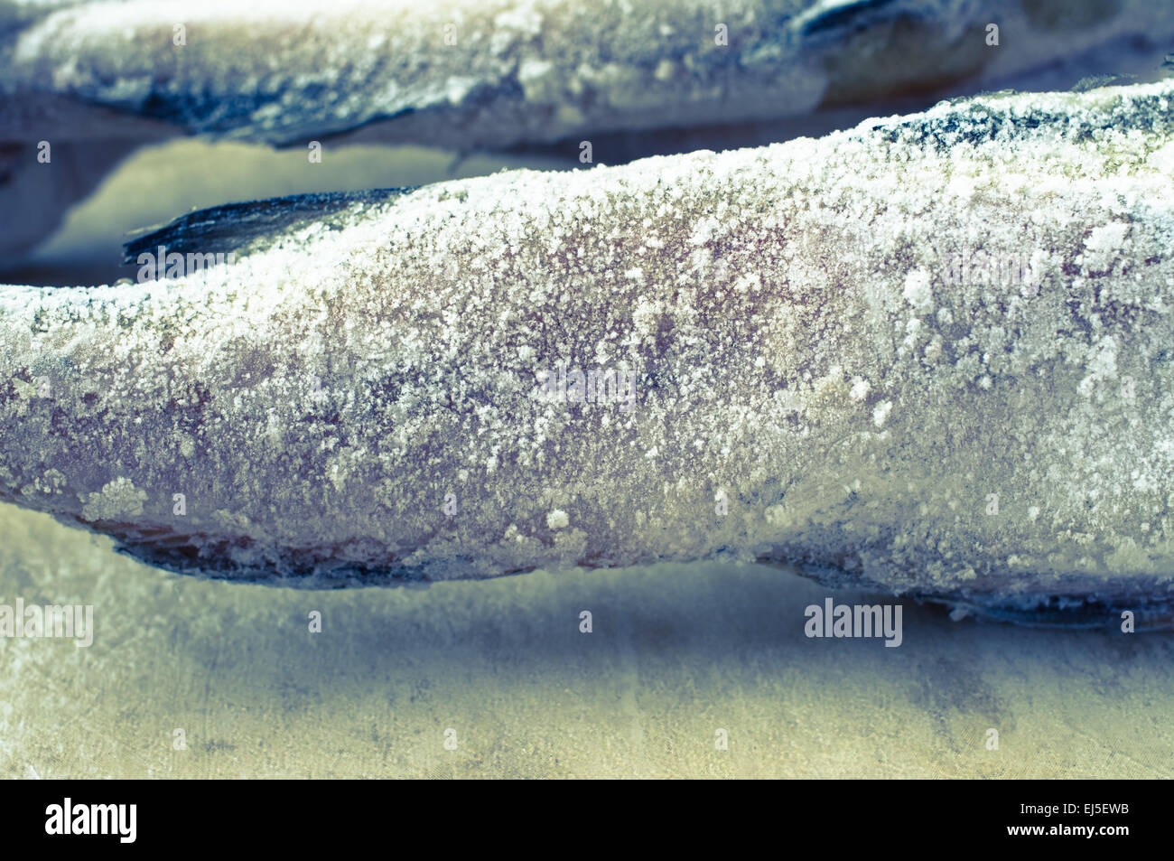Frozen fish in hoarfrost closeup of the refrigerator Stock Photo Alamy