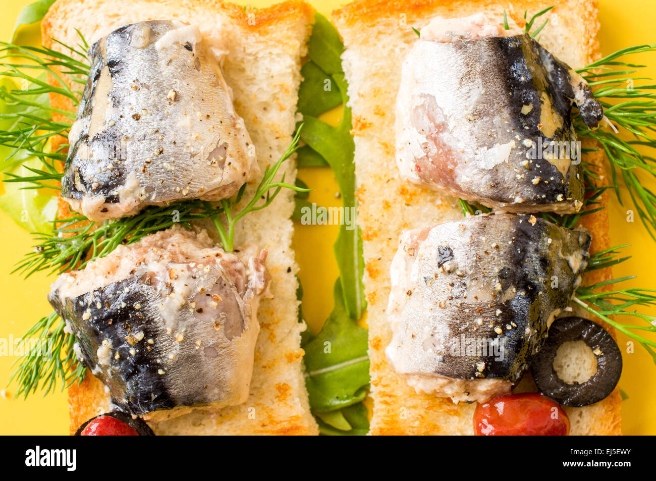 Roasted toasted sandwich with big Atlantic sardines in oil Stock Photo