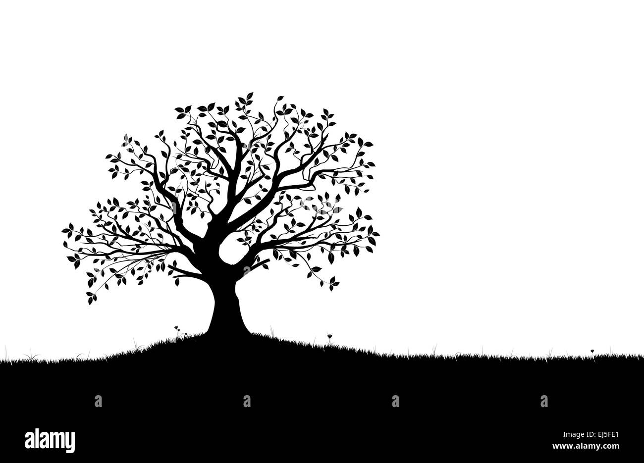 Black tree silhouette. Vector image Stock Vector Image & Art - Alamy