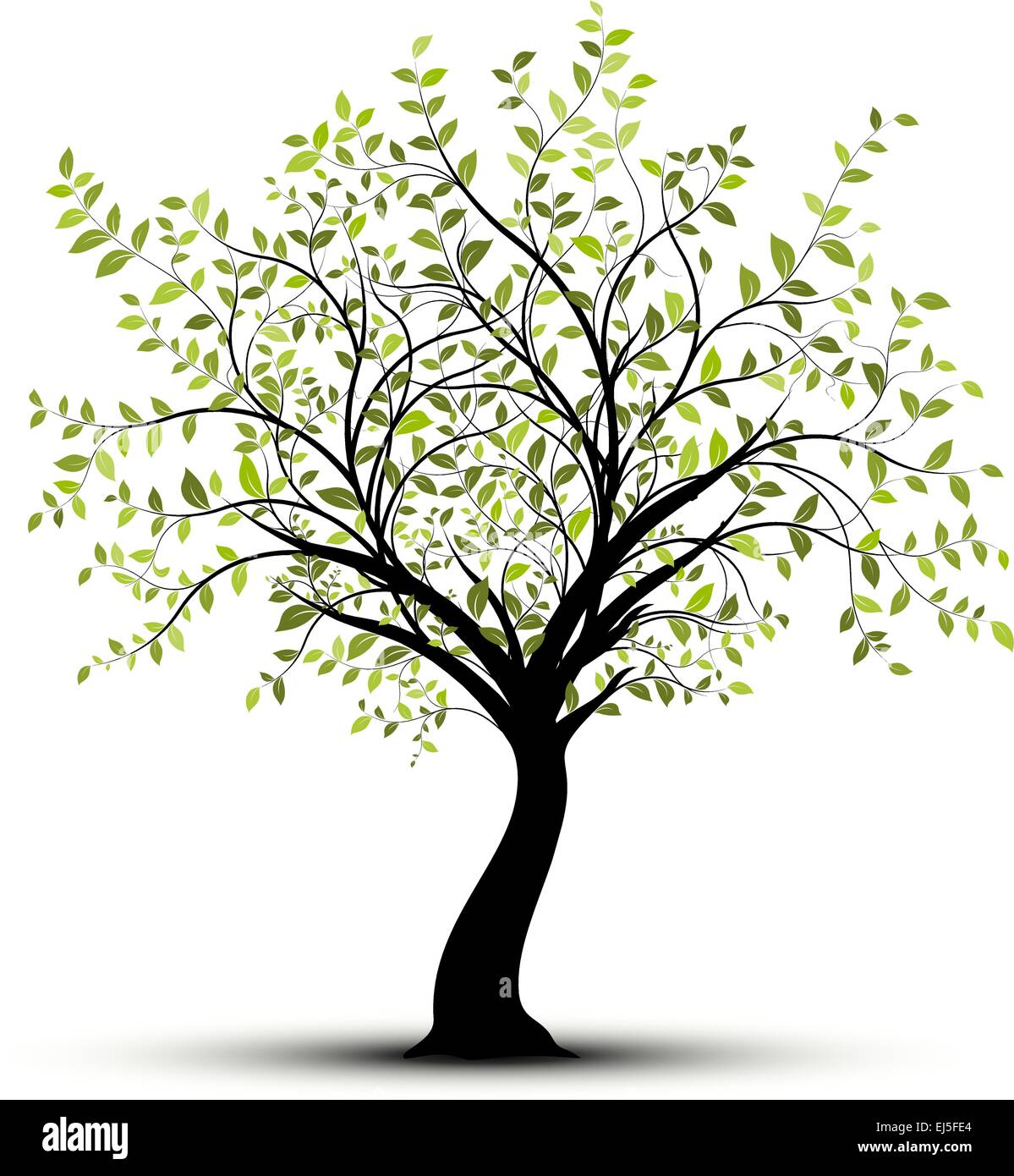 Young vector tree with green foliage over white background with shadow Stock Vector