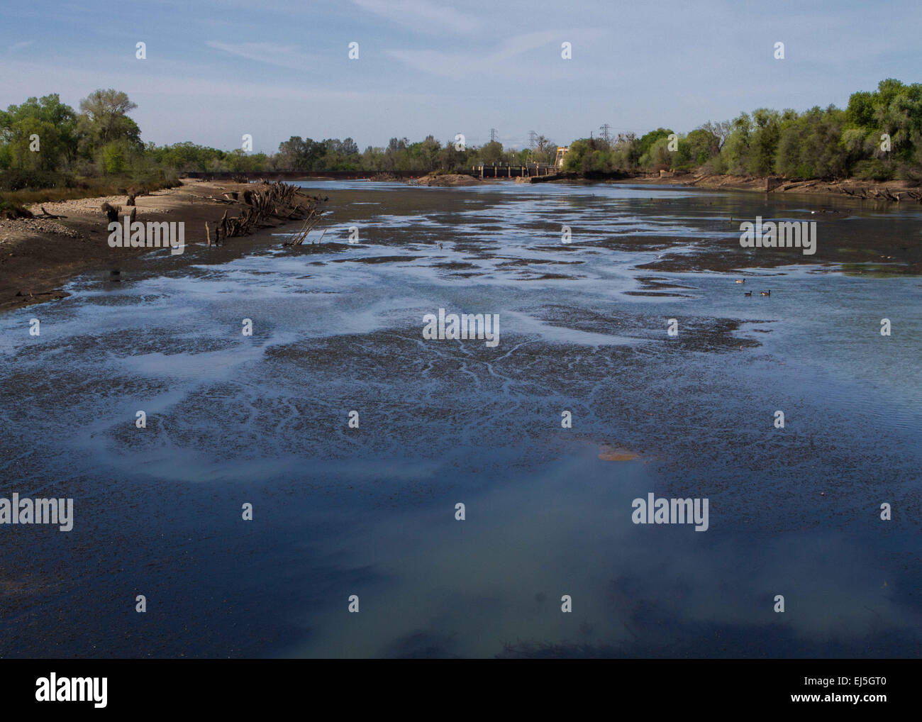 Ca, Usa. 21st Mar, 2015. With central California going into another drought year many rivers an reservoirs are at all time lows. The Merced River just down stream from Lake McClure and Lake McSwain is one of many. Lake McClure is at 7.67 percent of its capacity as of March 15th 2015. © Marty Bicek/ZUMA Wire/Alamy Live News Stock Photo