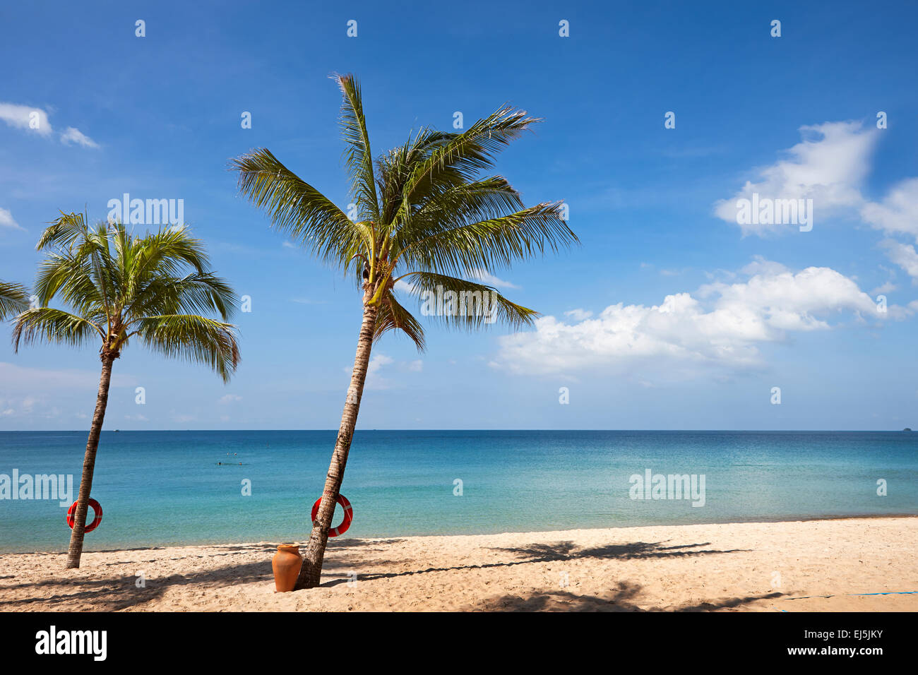Palm Trees Growing On The Sandy Beach At Vinpearl Resort - 