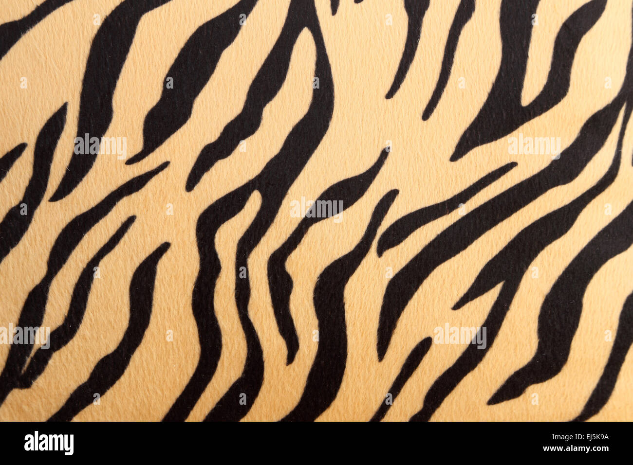 Бенгальский тигр текстура
