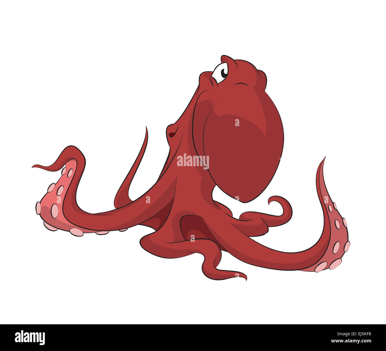 Vector image of funny cartoon red octopus Stock Photo
