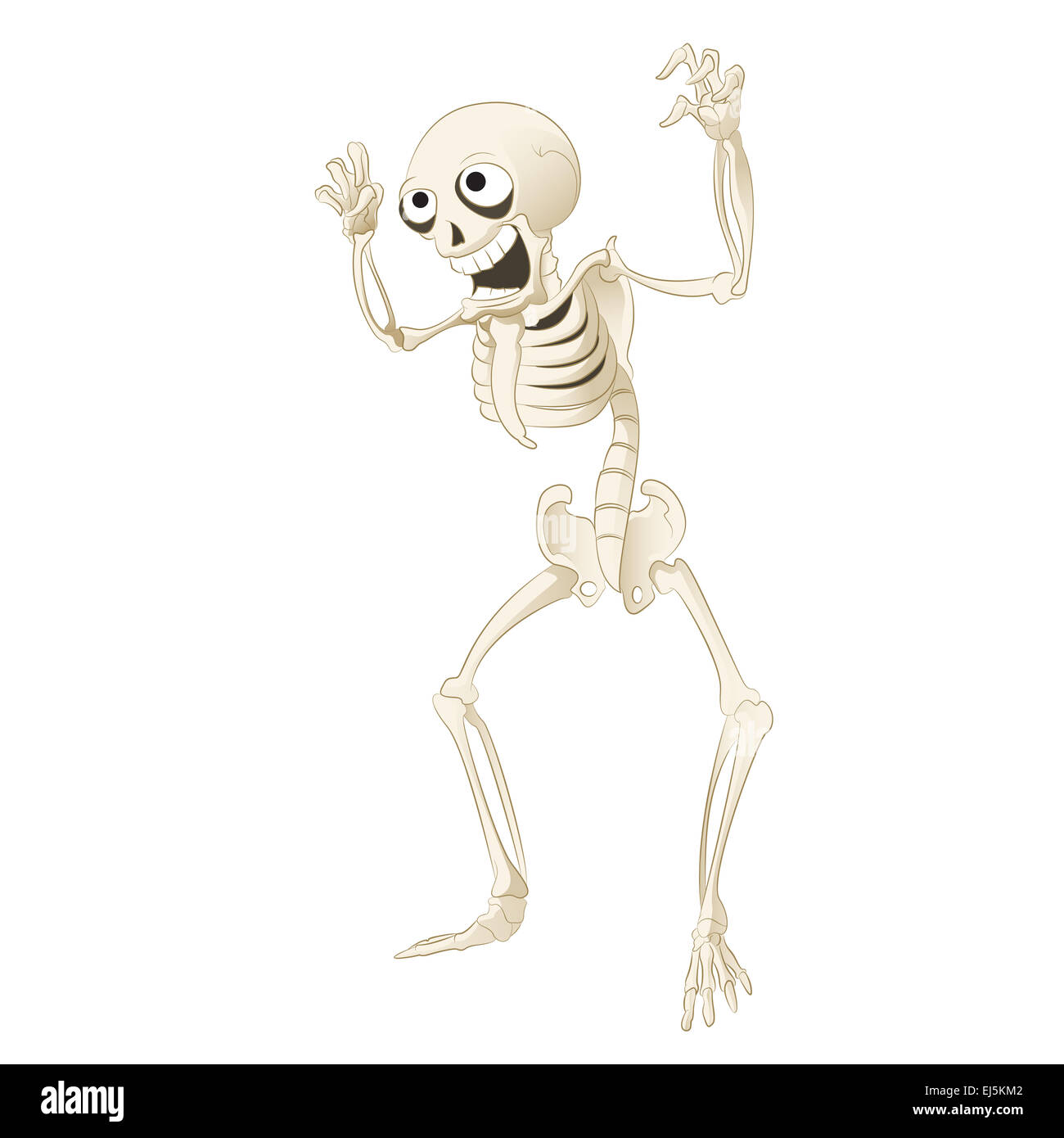 Vector image of a cartoon spooky skeleton Stock Photo - Alamy