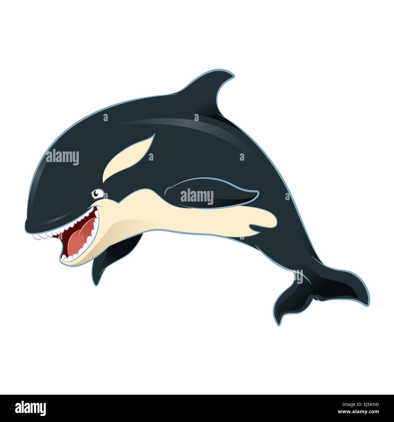 Vector image of an cartoon killer whale Stock Photo