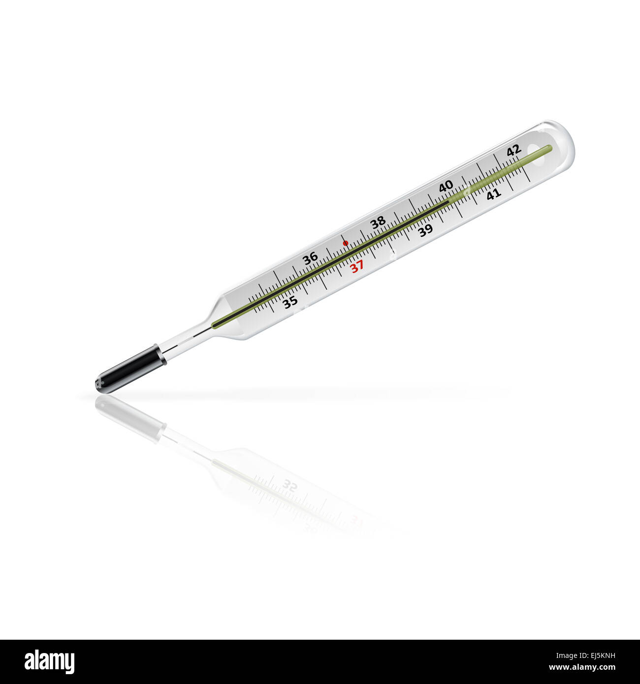 Vector image of glass medicine real thermometer Stock Photo - Alamy