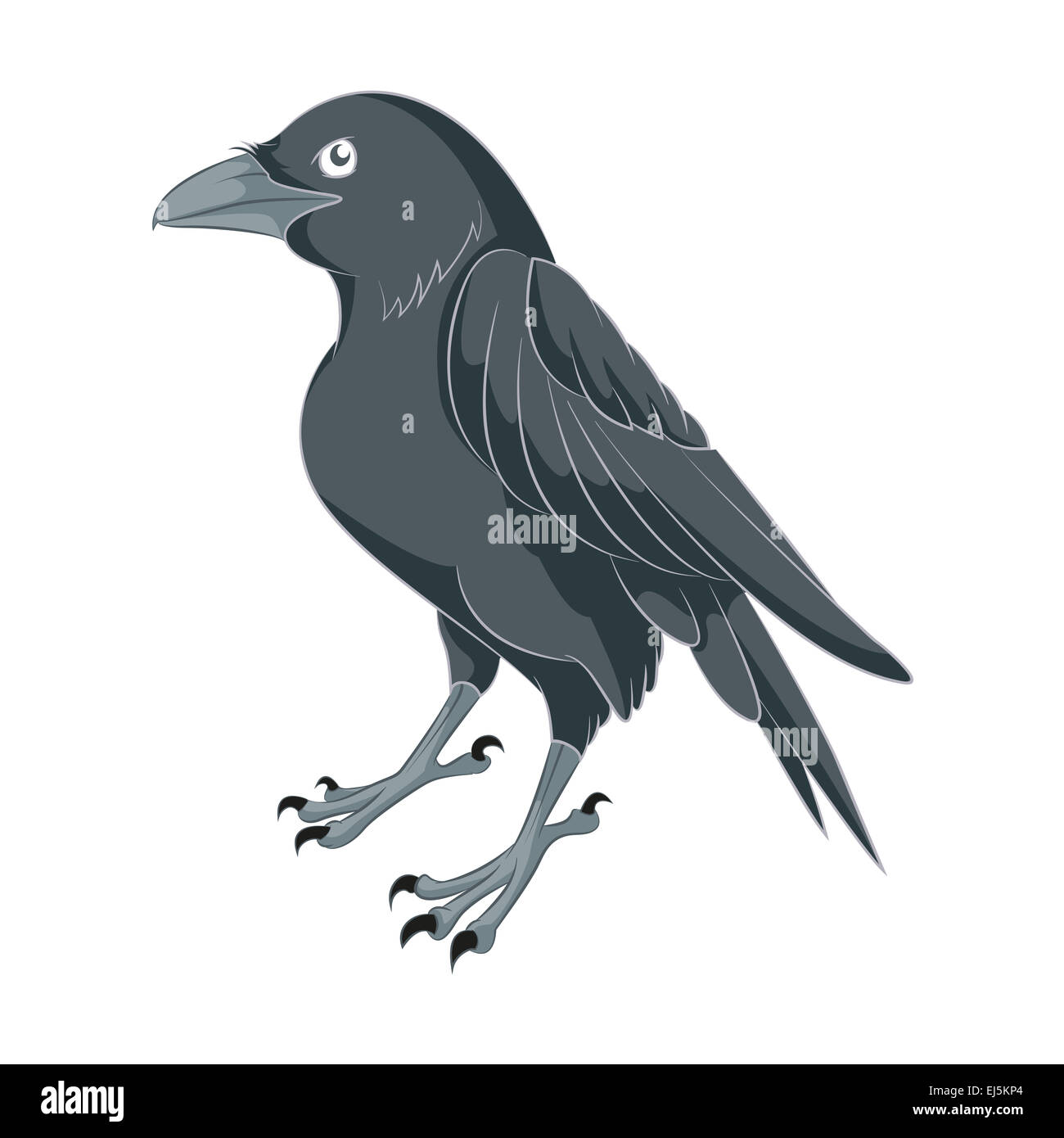Vector image of an black Cartoon Raven Stock Photo
