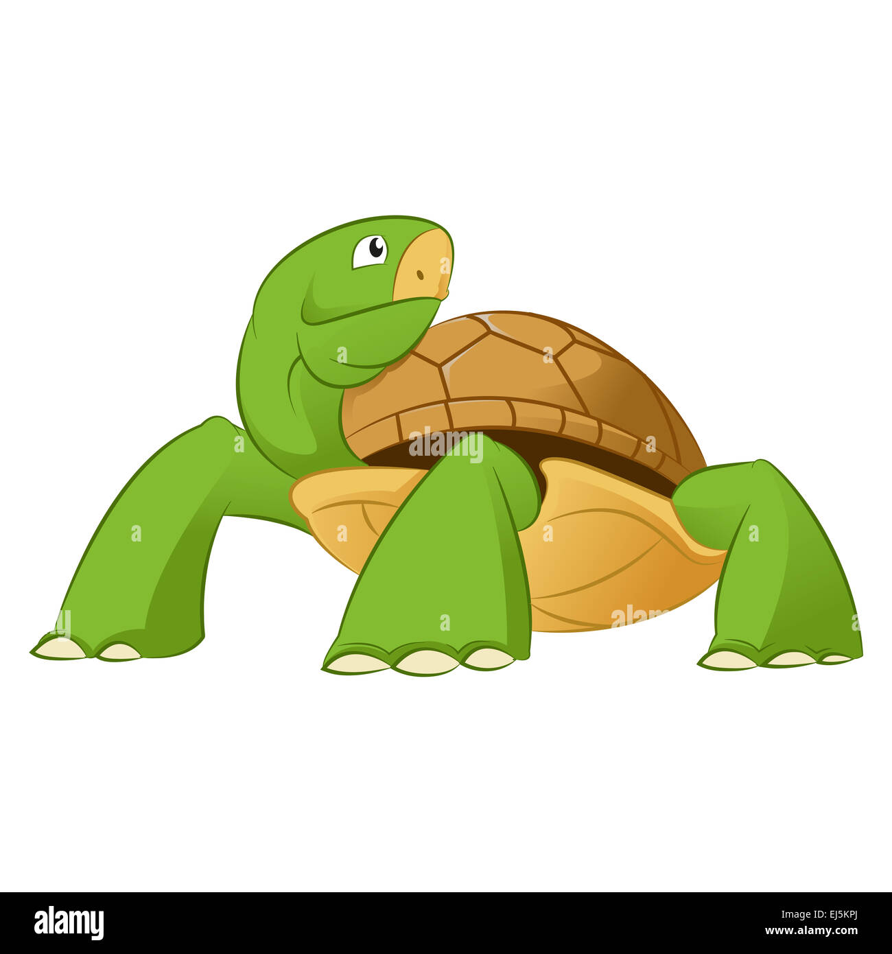 Vector image of an cartoon smiling turtle Stock Photo