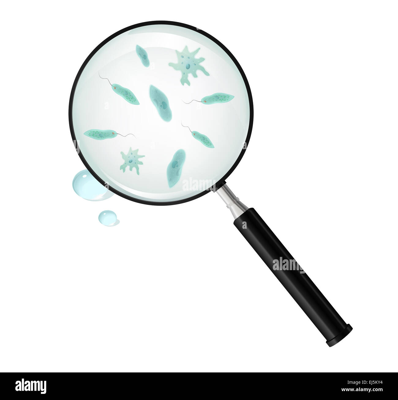Magnifying glass and protozoa in the blob Stock Photo