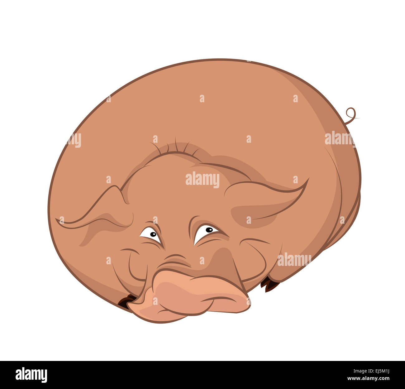 Vector image of big cartoon funny pig Stock Photo