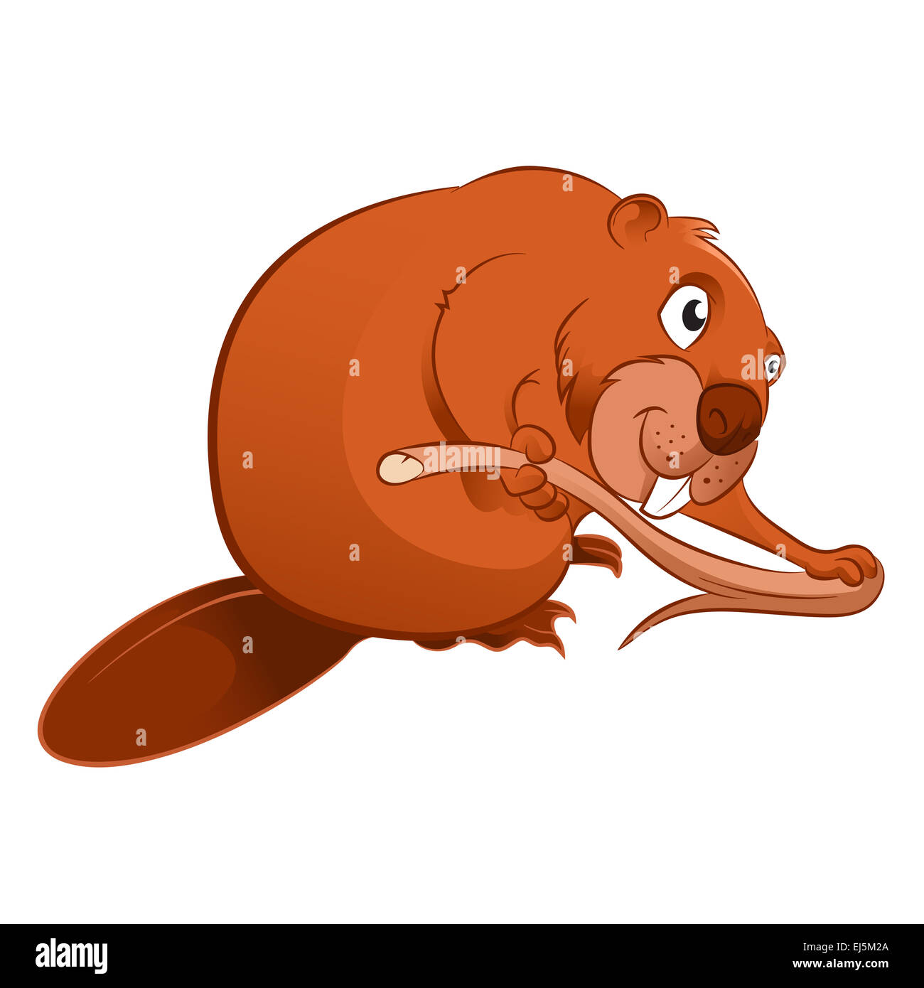 Vector image of an cartoon brown Beaver Stock Photo