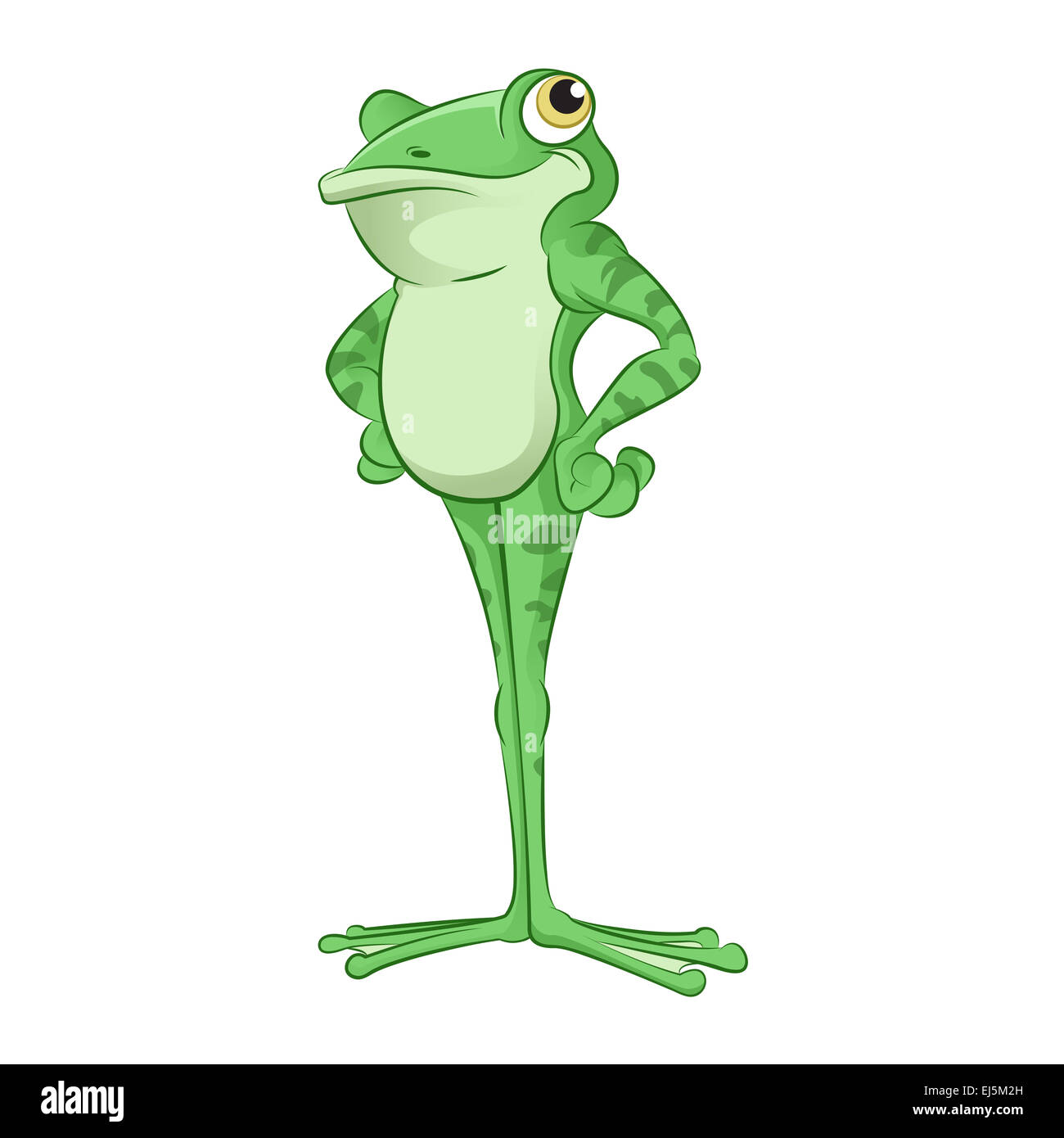 Vector image of an green Cartoon Frog Stock Photo