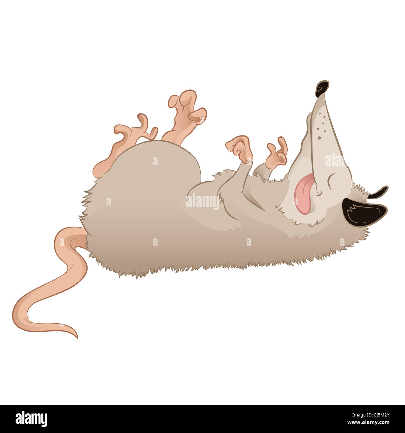 Vector image of a cartoon deadlike Opossum Stock Photo