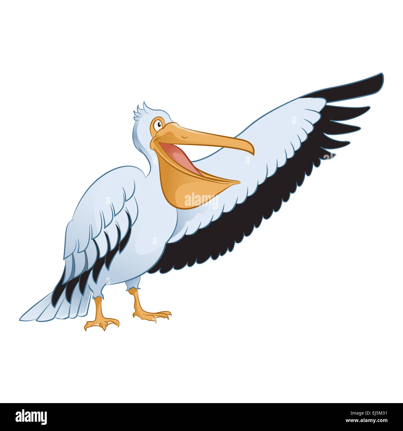 Vector image of an cartoon showing Pelican Stock Photo