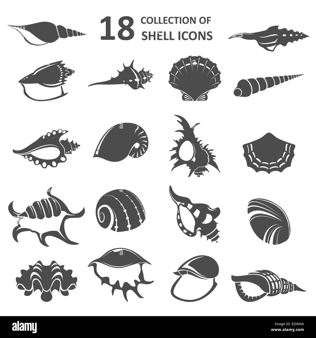 Vector image of collection of shell icons Stock Photo - Alamy