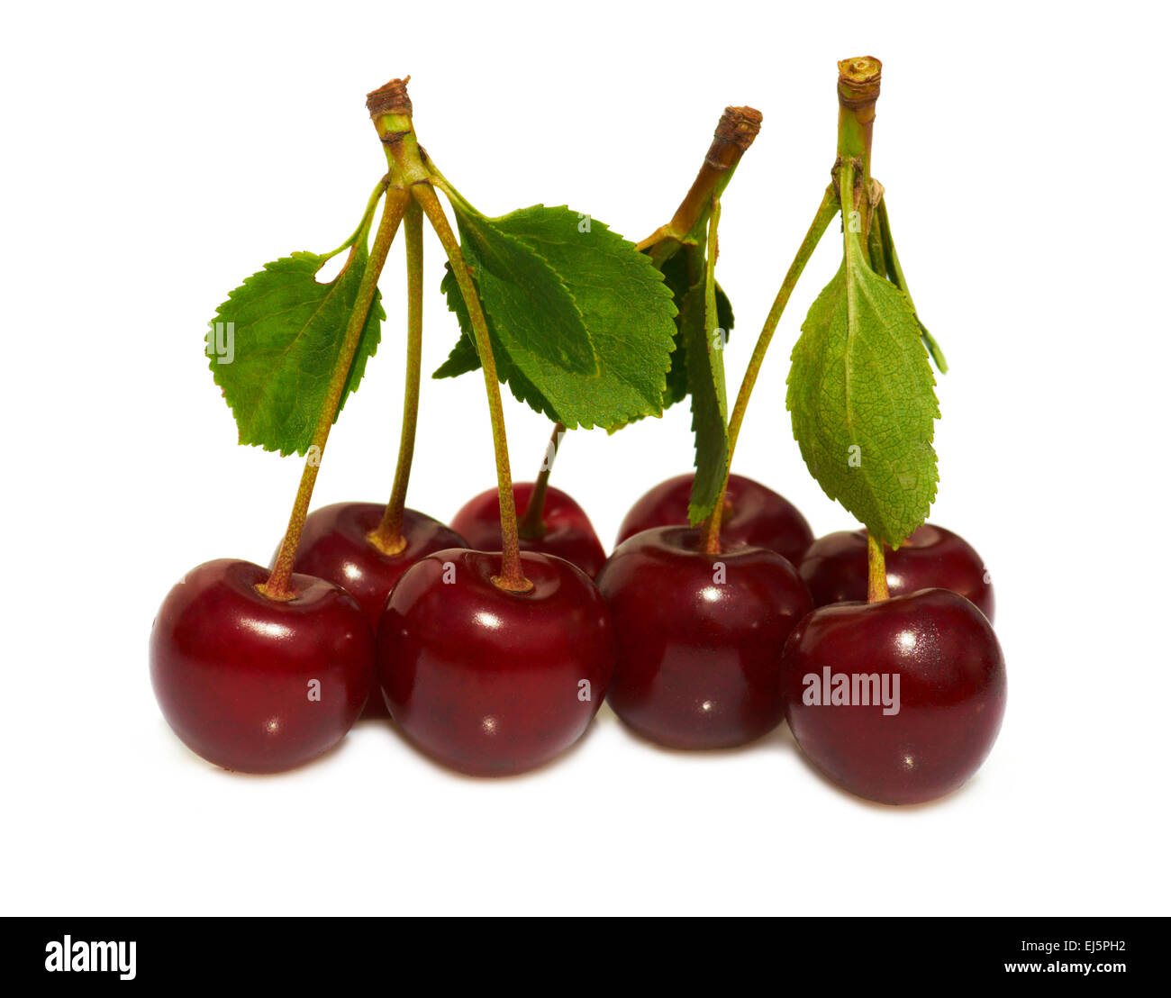 Bunch tasty juicy red Cut Out Stock Images Pictures Alamy Bunch tasty juicy red Cut Out Stock Images Pictures Alamy